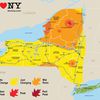 Here's How Your NY Fall Foliage Map Is Made
